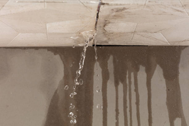 Professional Water Extraction technician working in Bryan, OH